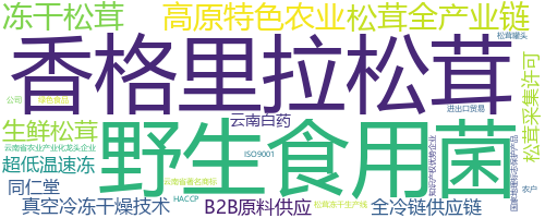 企业词云