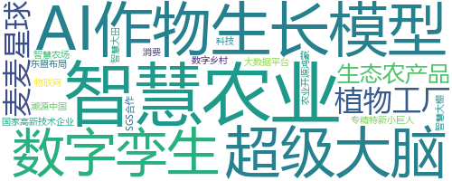企业词云