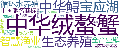 企业词云