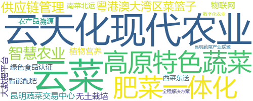 企业词云