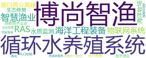 企业词云