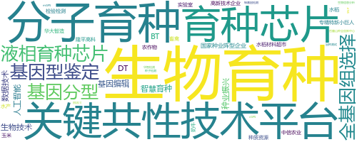 企业词云
